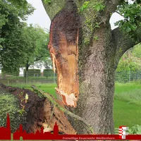 2019-06-22_sturmschaden_3.jpg