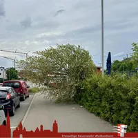 2026-06-08 Baum Bahnhof.JPG