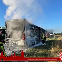 2022-08-12_brand_bus_4.jpg