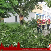 2019-06-22_sturmschaden_2.jpg