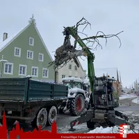 2023-12-02 Baum auf Straße (4).jpg