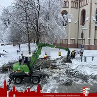 2023-12-02 Baum auf Straße Hauptplatz (1).jpg