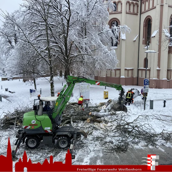 2023-12-02 Baum auf Straße Hauptplatz (1).jpg