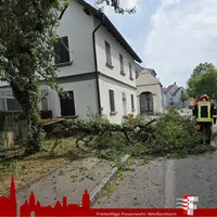 2026-07-31 THl1 Josef-Holl.jpg