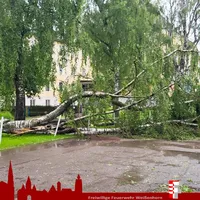 2024-06-08 Unwetter (4).jpg