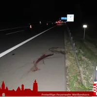 2019-07-07_vu_a7_2.jpg