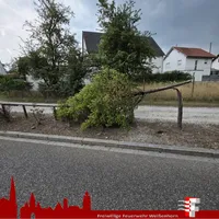 2026-07-31 THL1 Roggenburgerstr.jpg