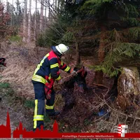 2019-03-26_kleinbrand_3.jpg